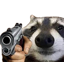 :raccoongun: